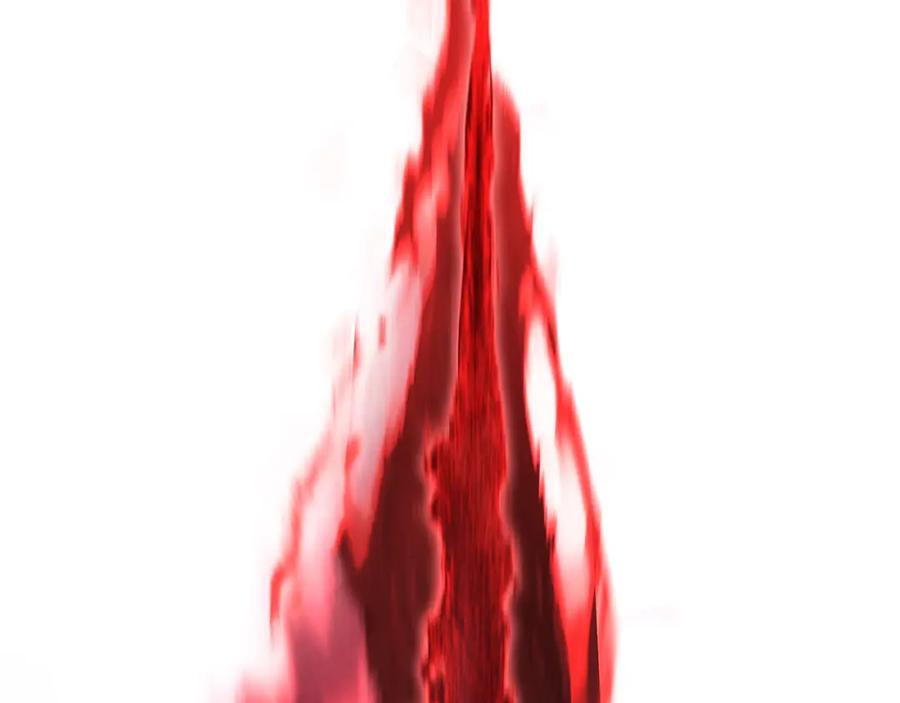 267.jpg