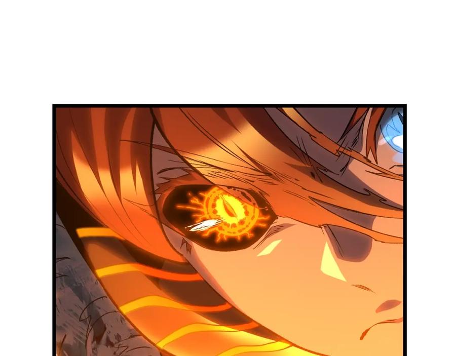 251.jpg