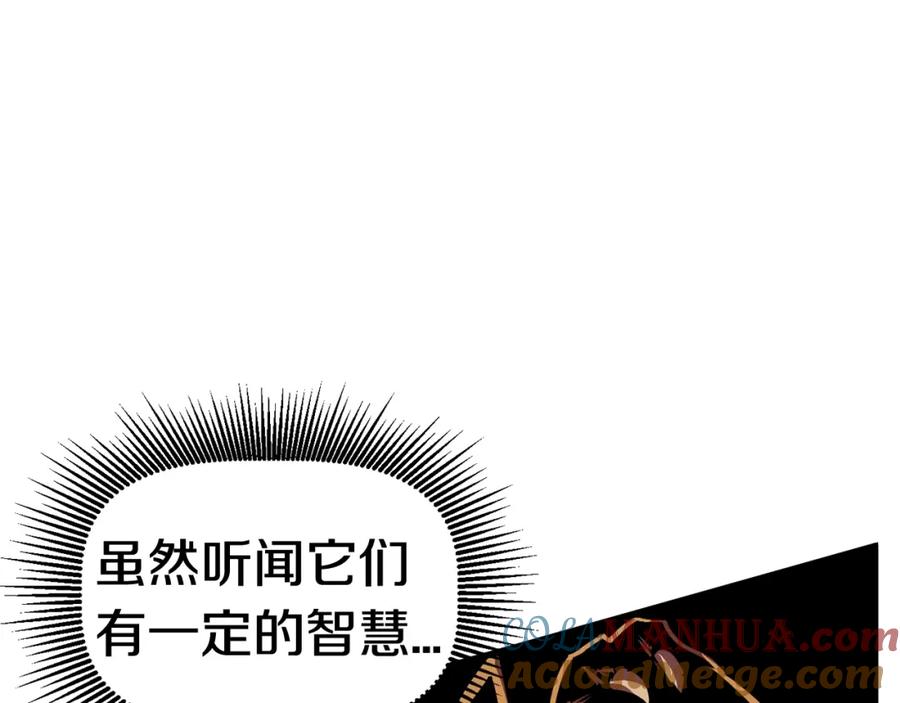 113.jpg