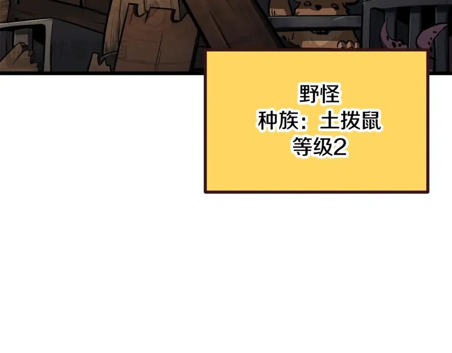 207.jpg