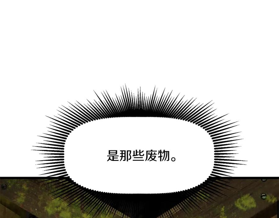 243.jpg