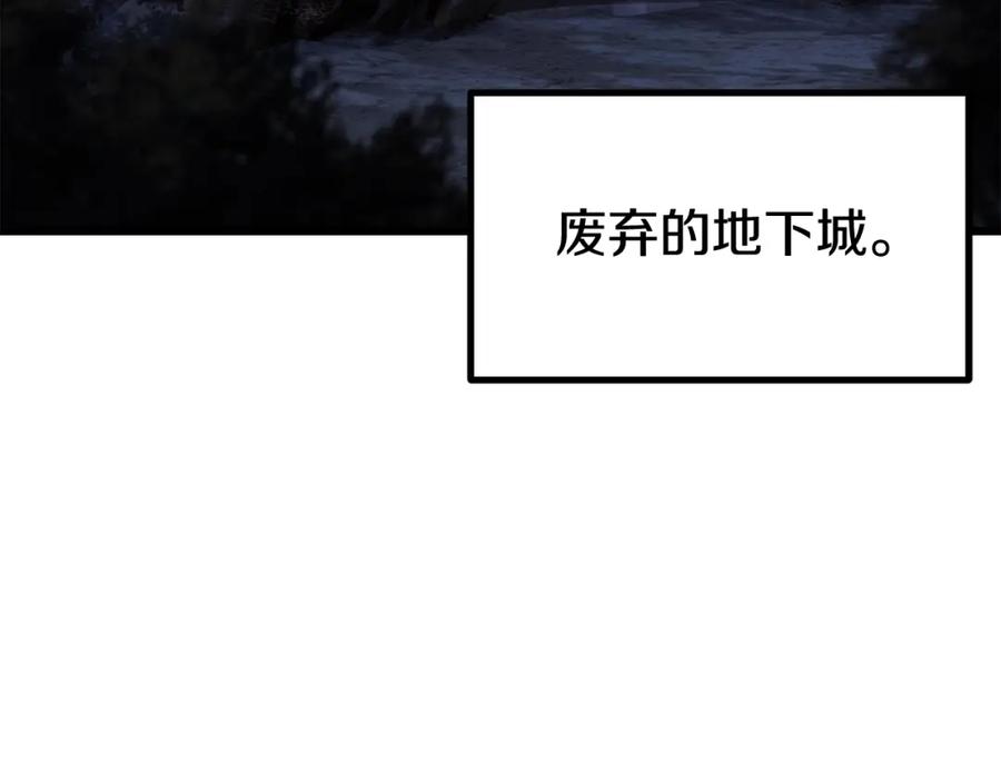204.jpg