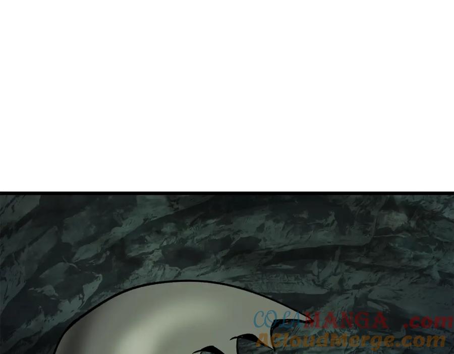 117.jpg