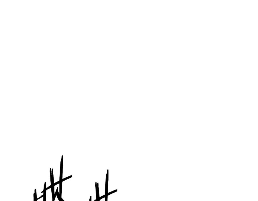 169.jpg