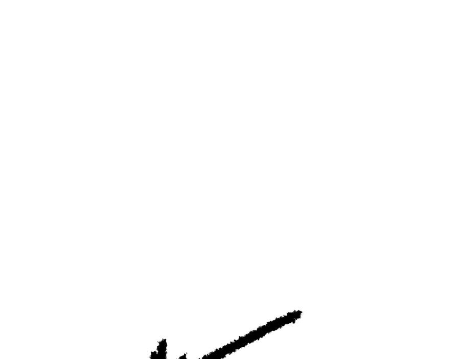 113.jpg