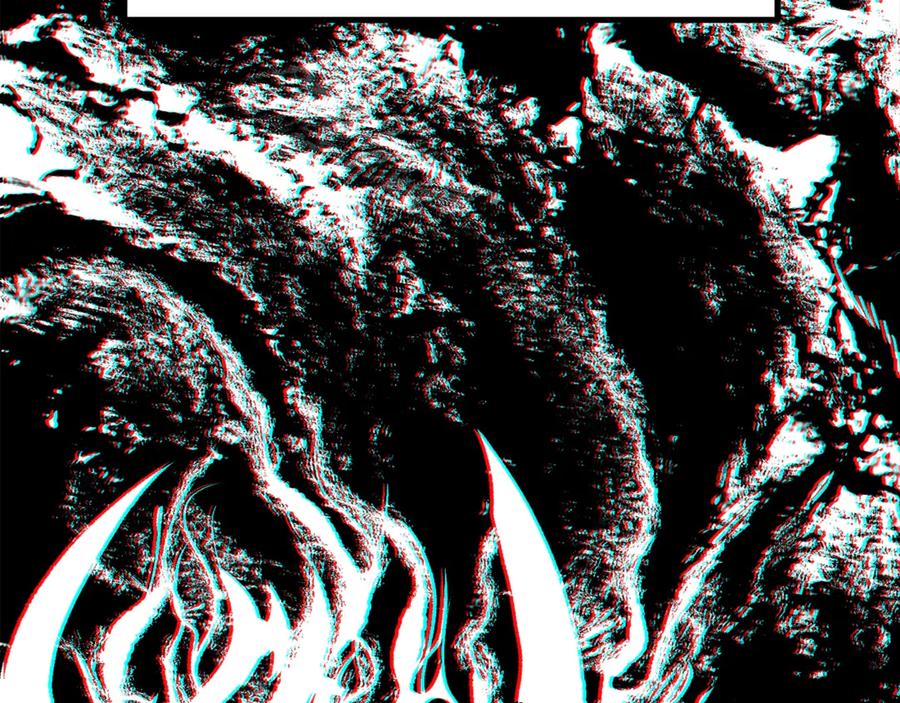 64.jpg