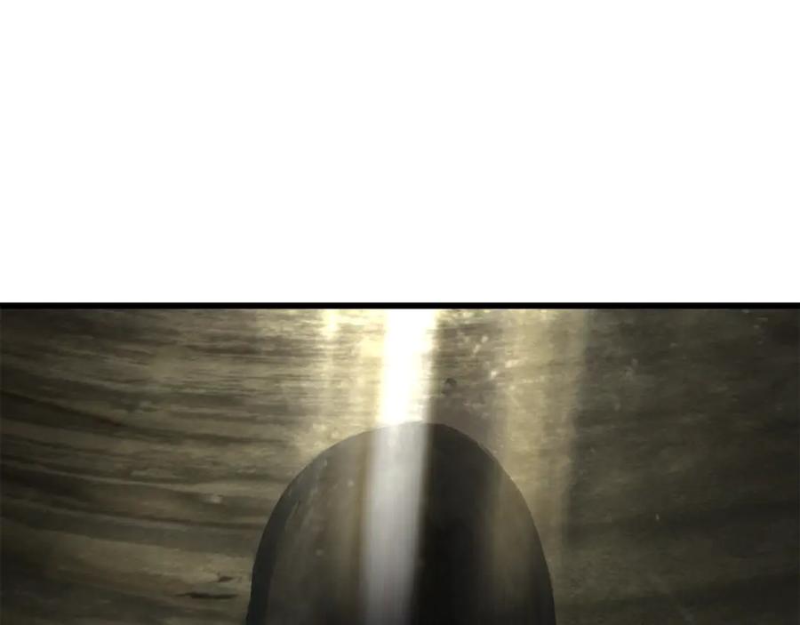 147.jpg