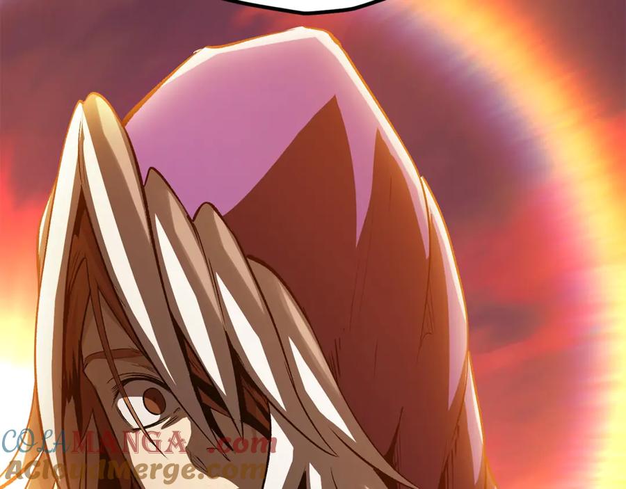 233.jpg