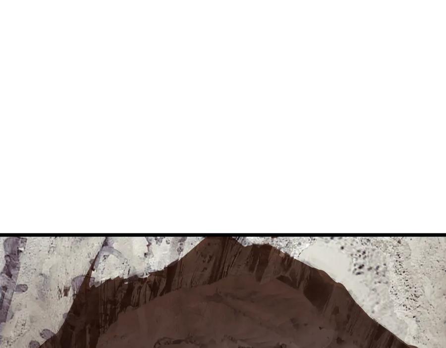 243.jpg