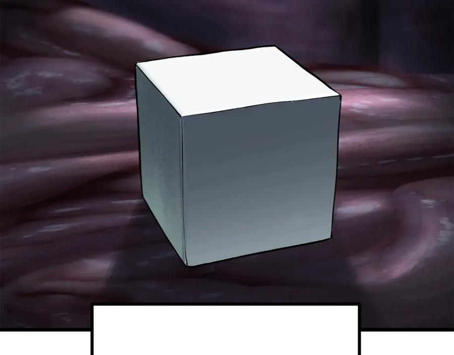 62.jpg