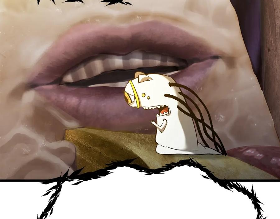 78.jpg