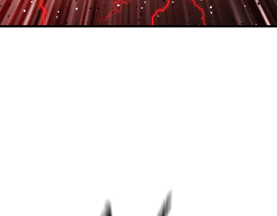 225.jpg