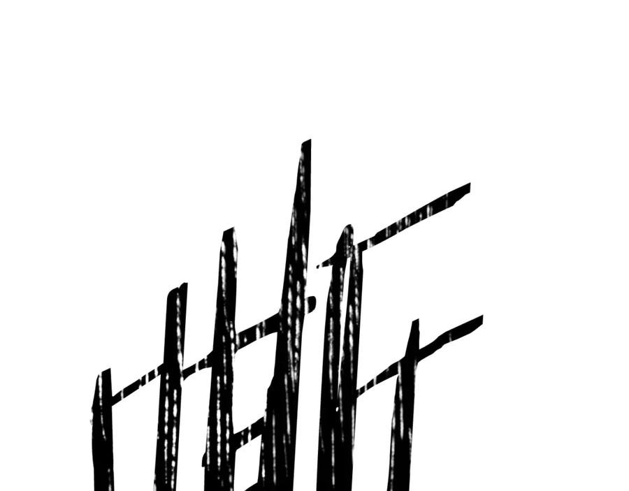 243.jpg
