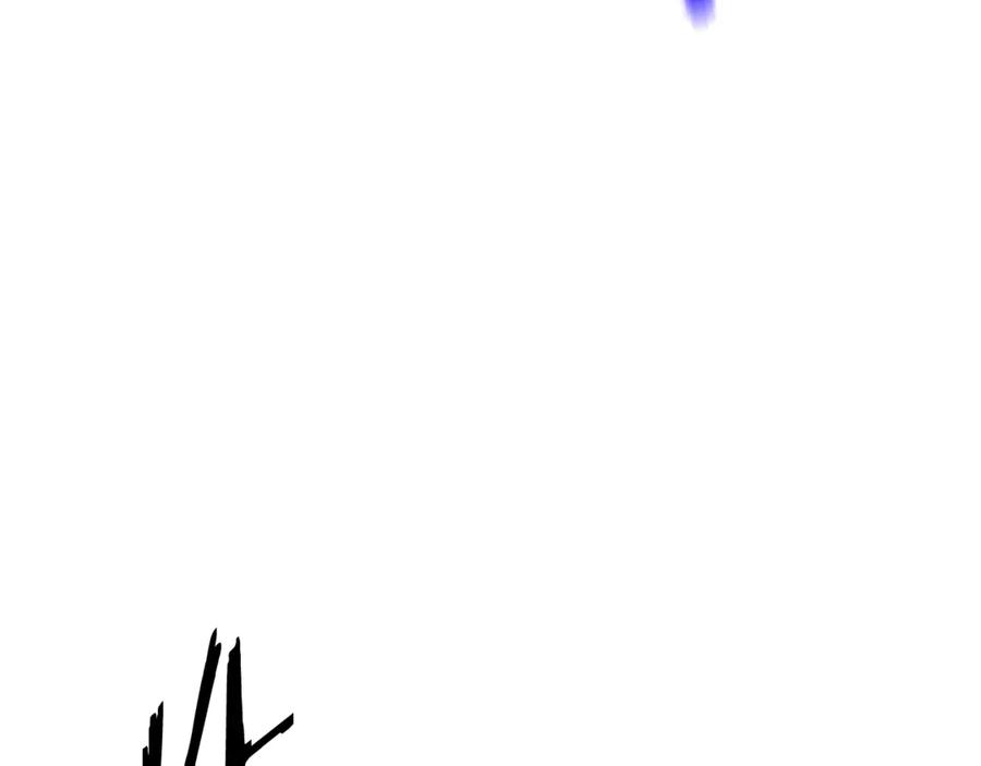 229.jpg
