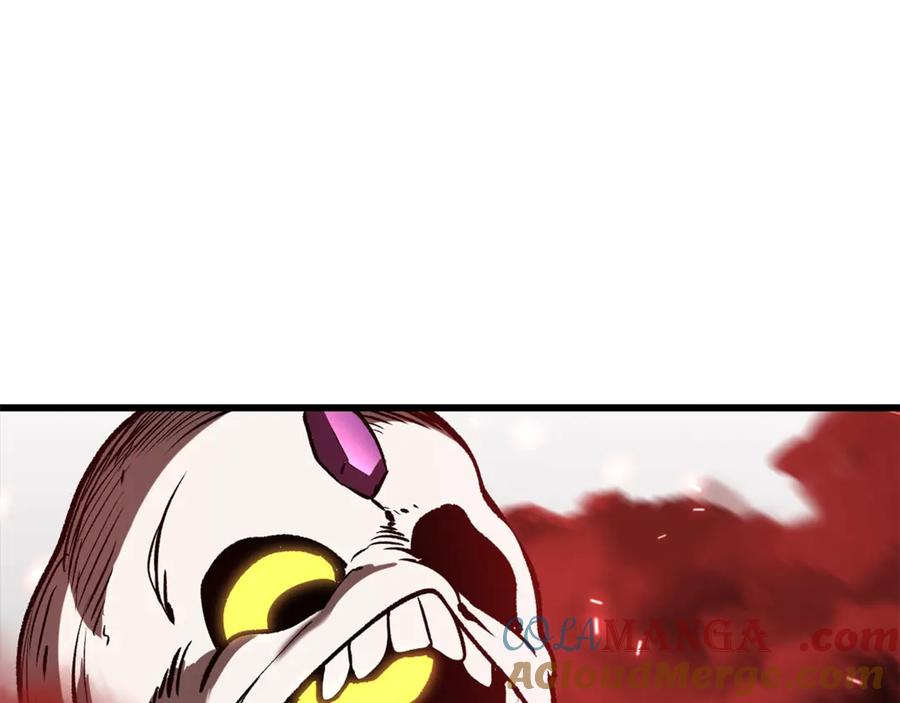 240.jpg