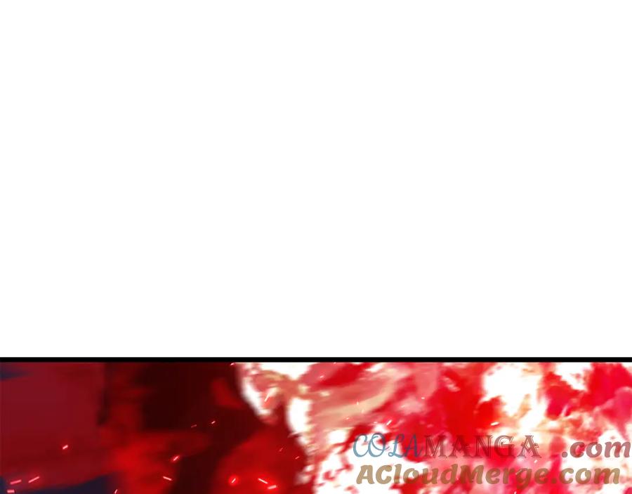 113.jpg