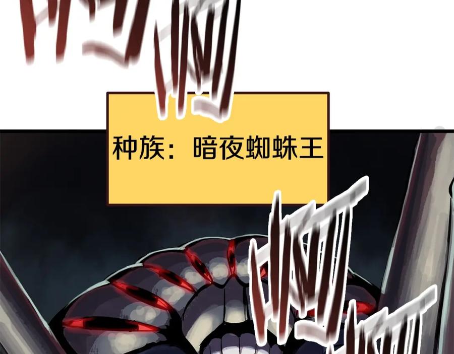 223.jpg