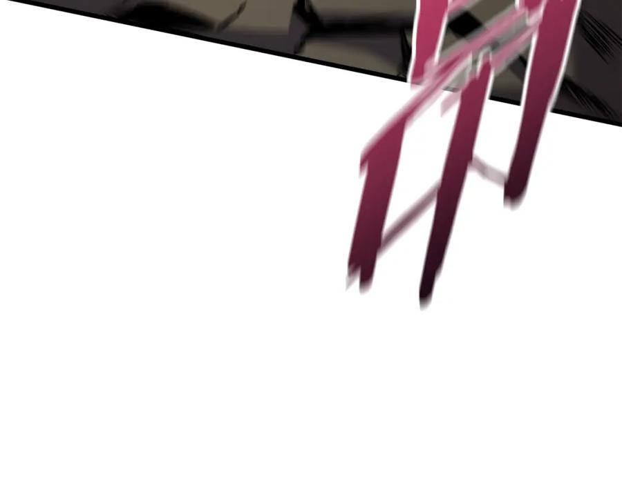 231.jpg