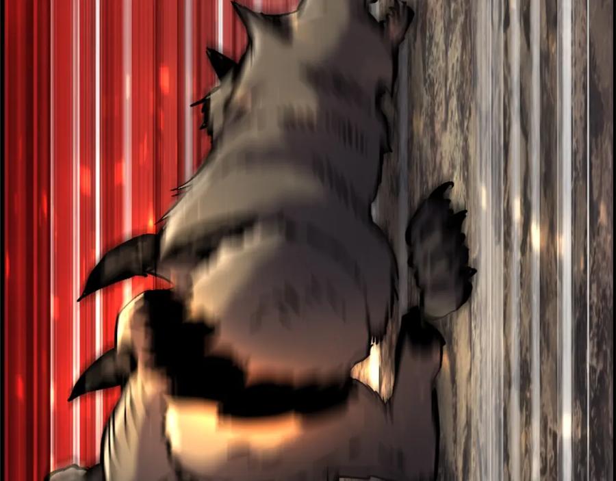242.jpg