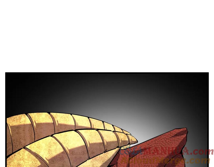 237.jpg