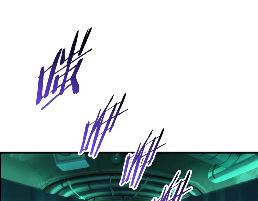 243.jpg