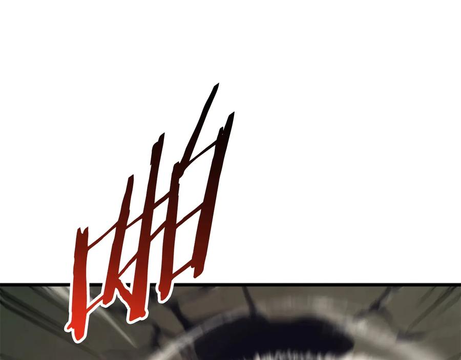 156.jpg
