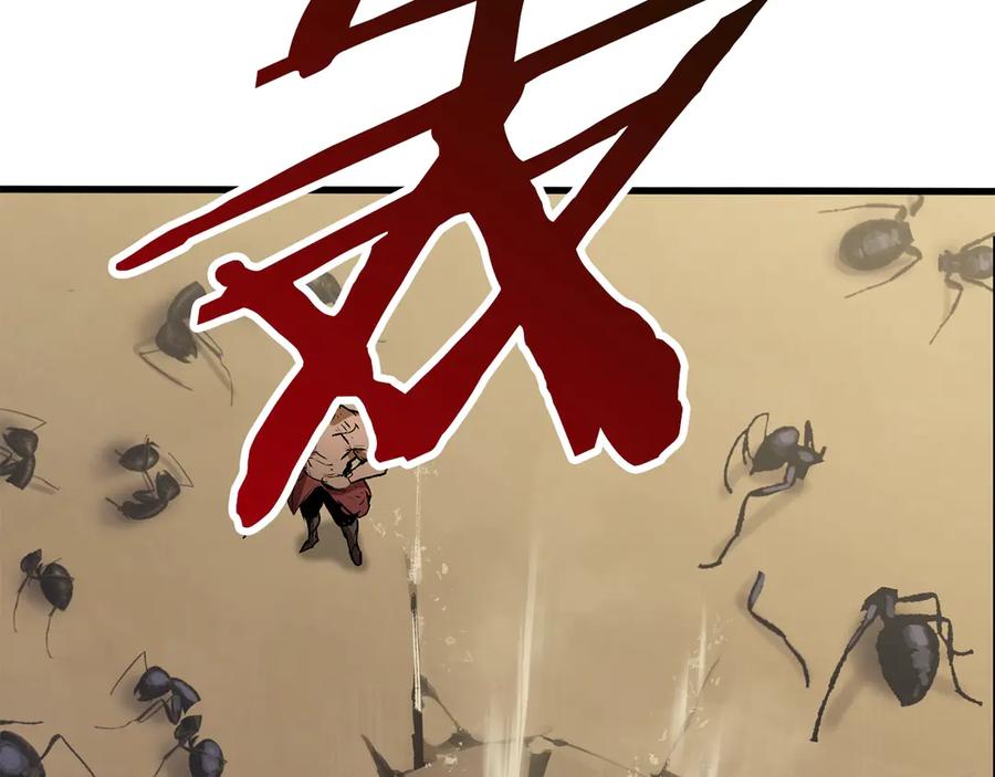 243.jpg