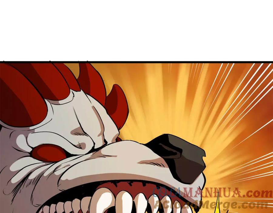 141.jpg