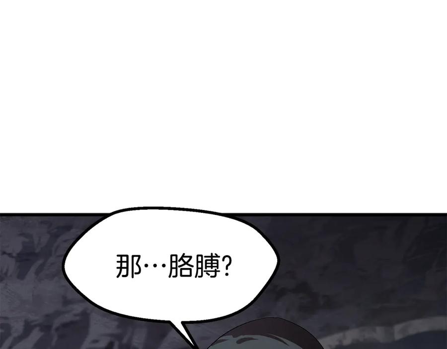 204.jpg