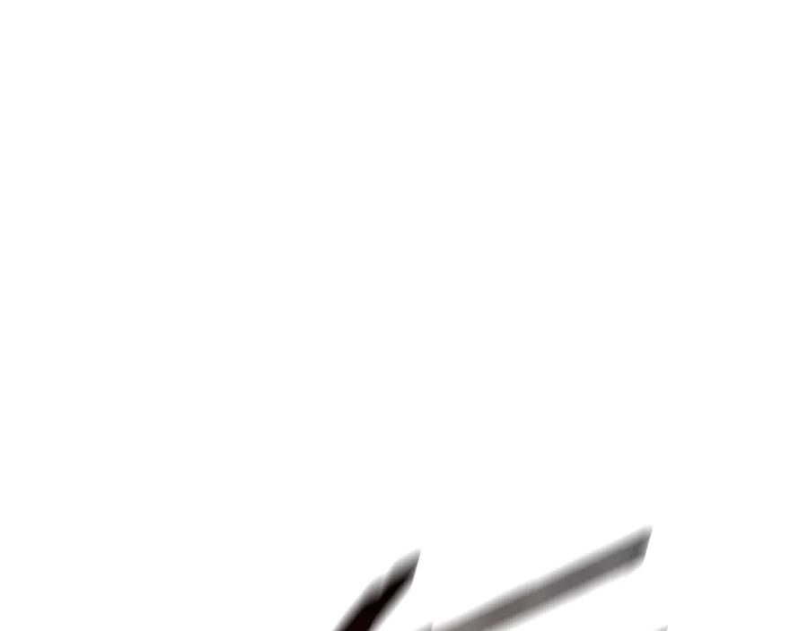 110.jpg