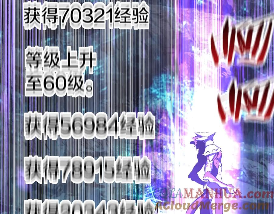 213.jpg
