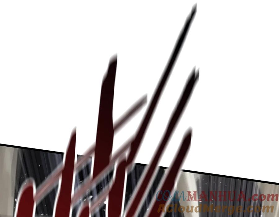 285.jpg