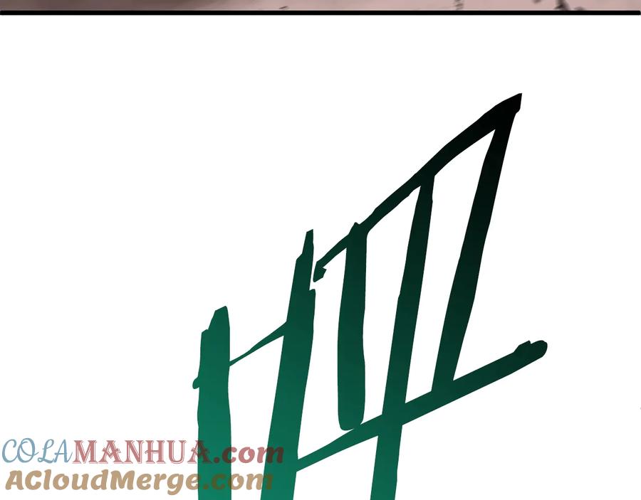 241.jpg