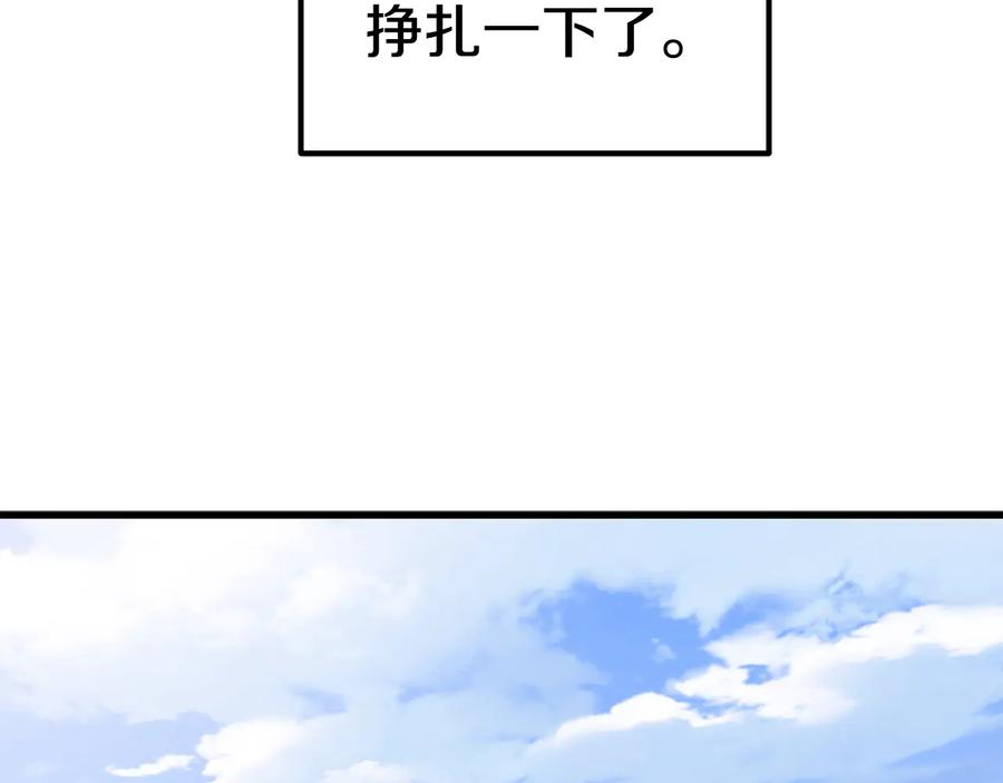 264.jpg