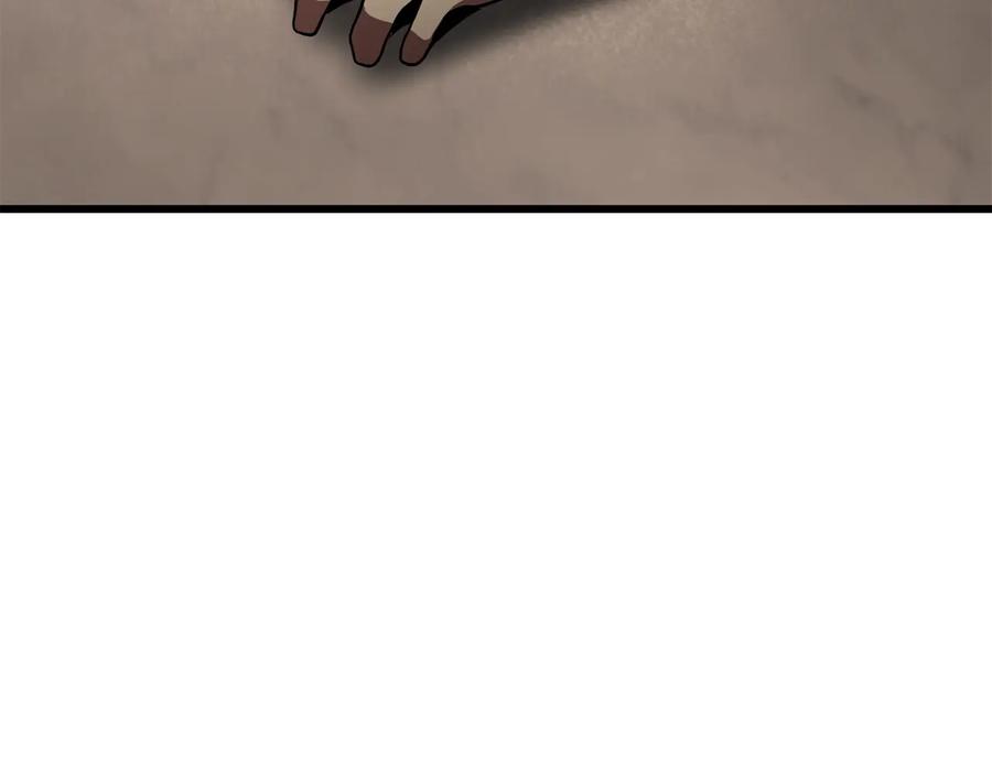 242.jpg