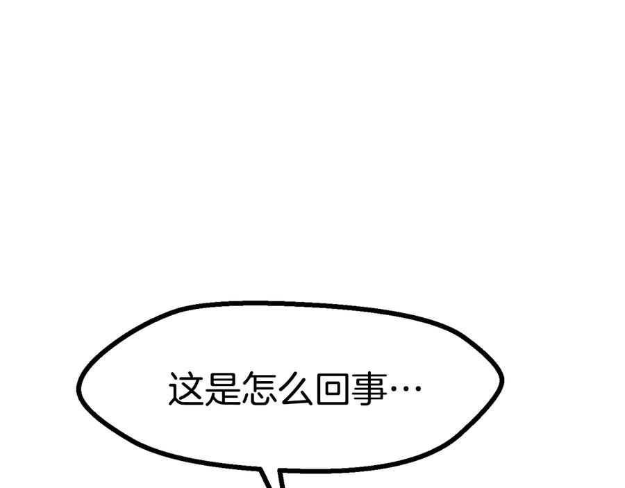 244.jpg