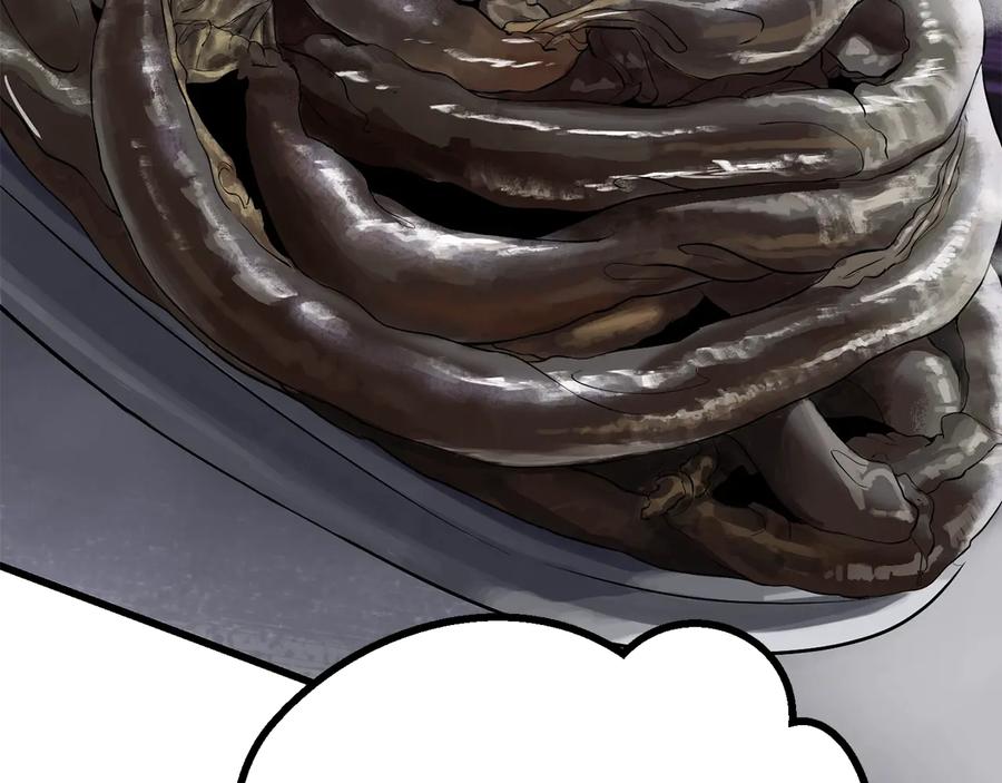223.jpg