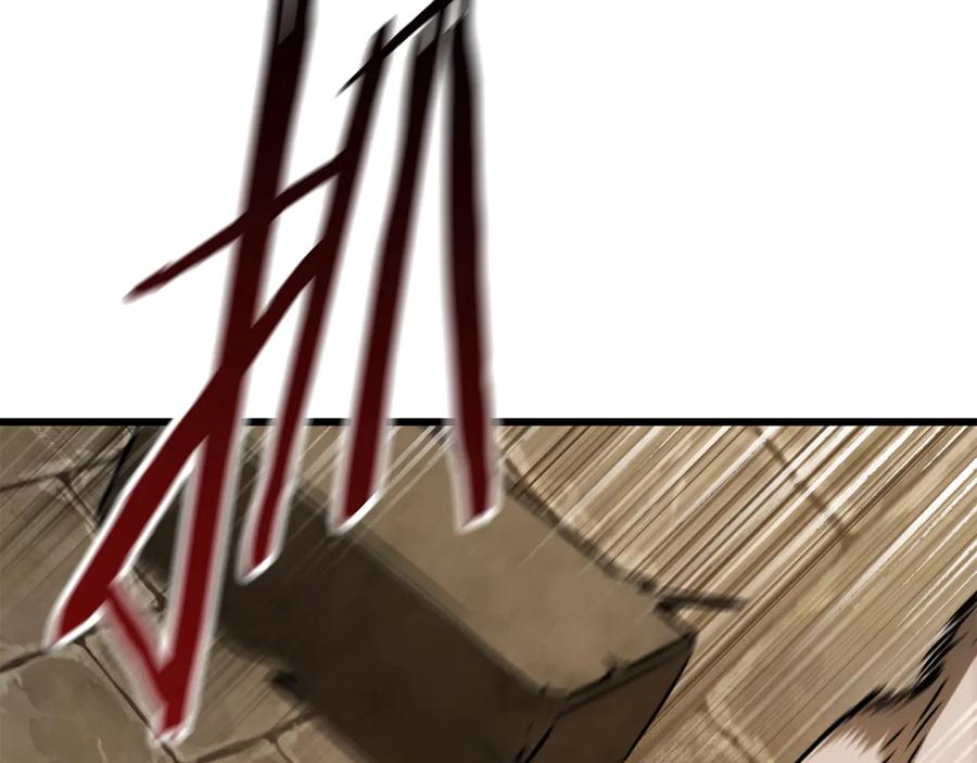 266.jpg