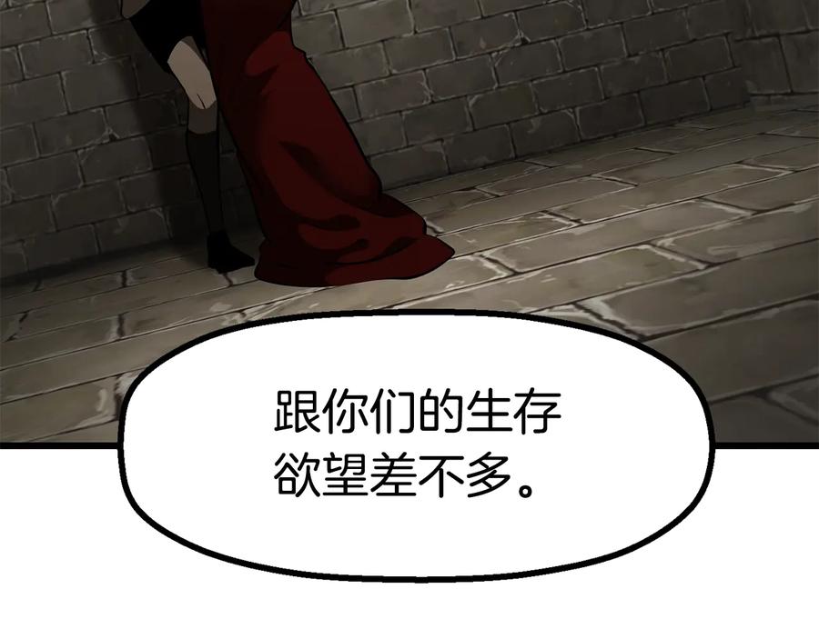 244.jpg