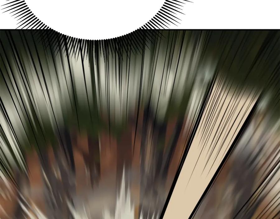 238.jpg