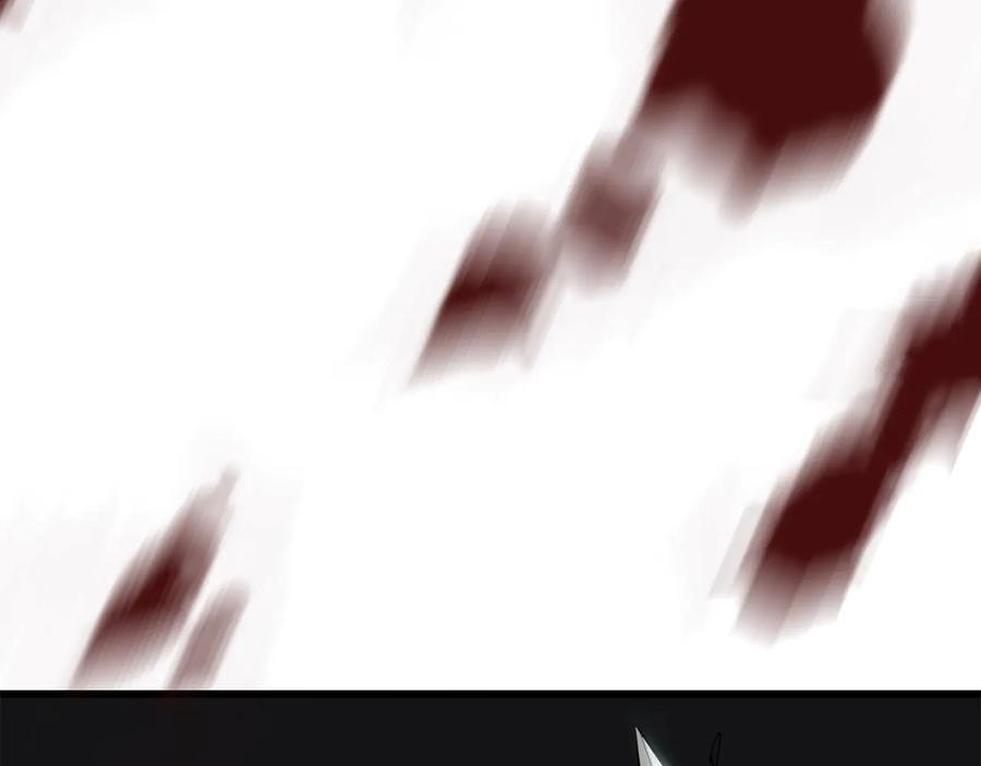 266.jpg