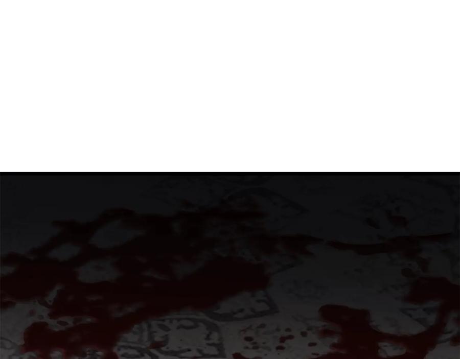 264.jpg