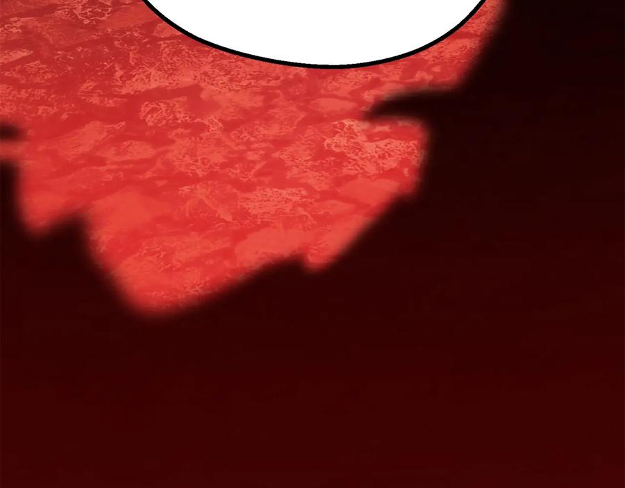 207.jpg