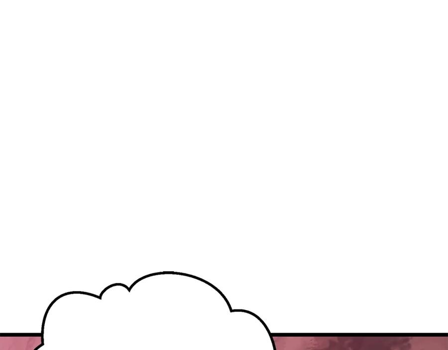 224.jpg