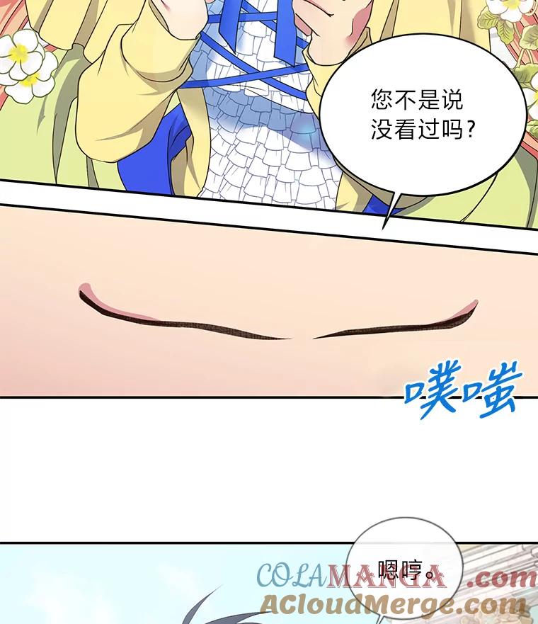 公爵夫人的秘密执笔 10.我真的没看过 第13页