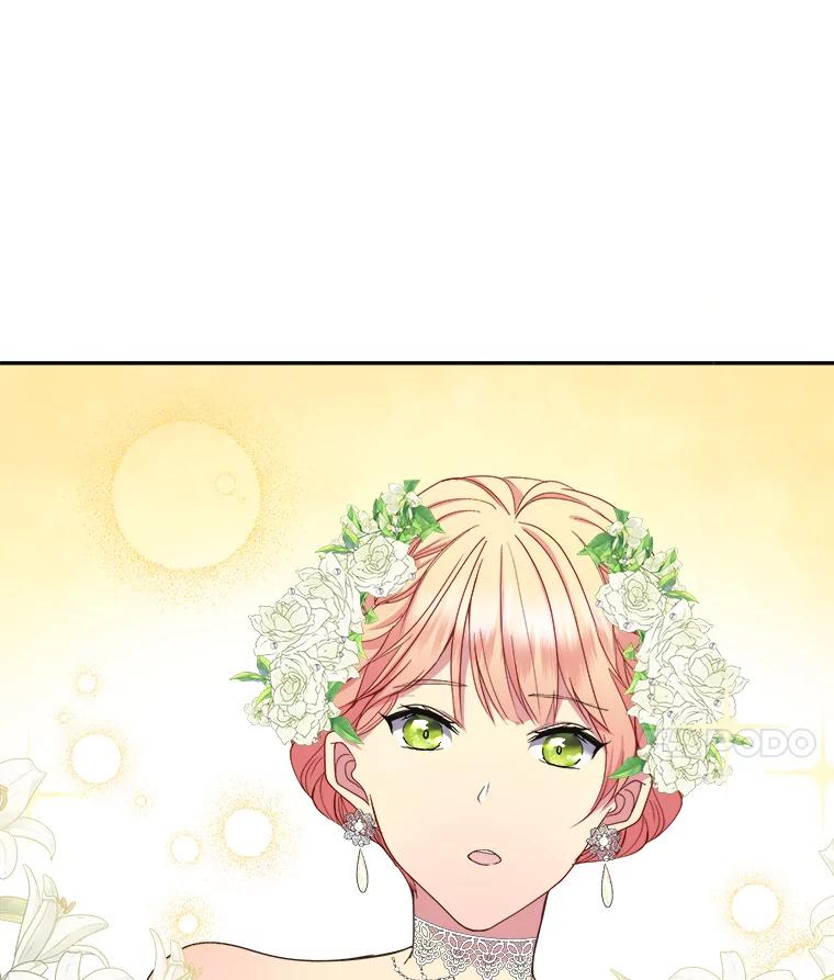 公爵夫人的秘密执笔 12.婚礼进行时 第81页