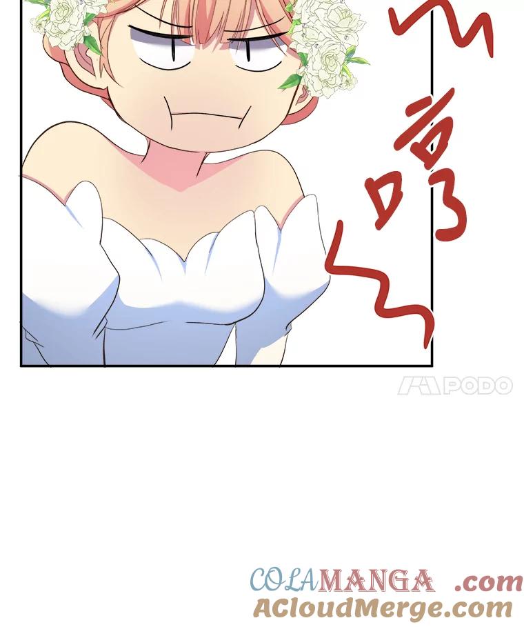 公爵夫人的秘密执笔 12.婚礼进行时 第67页