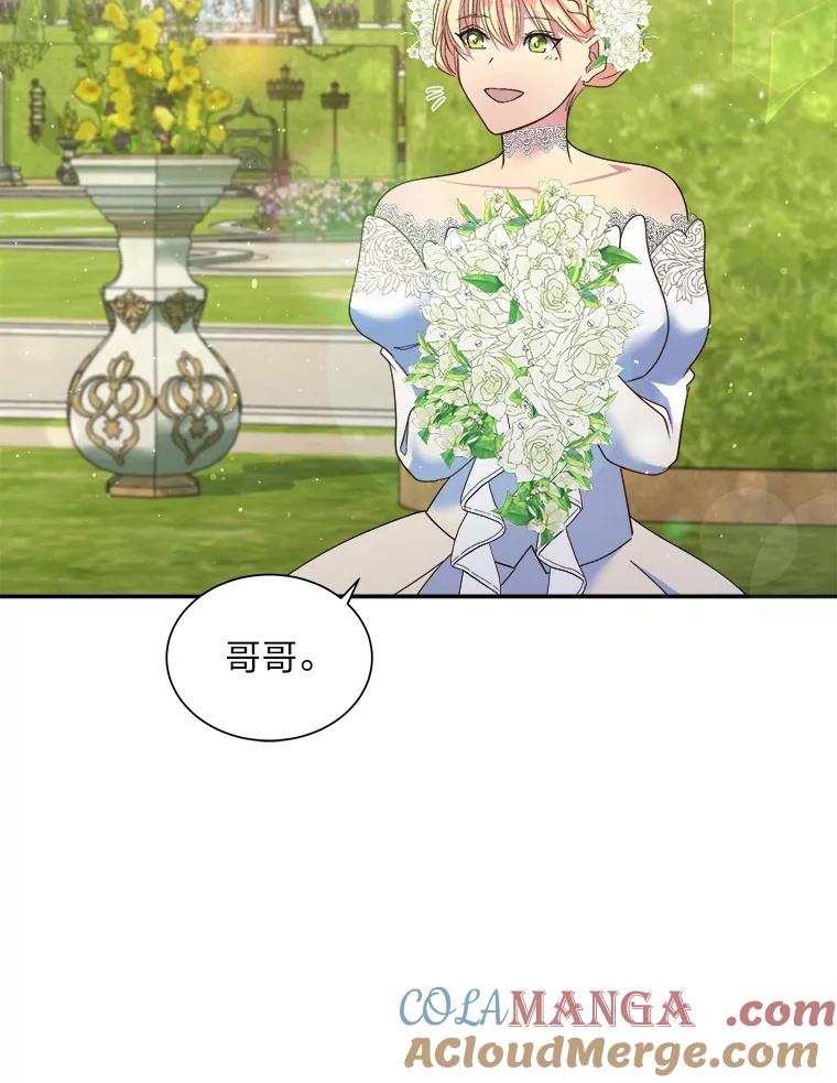 公爵夫人的秘密执笔 12.婚礼进行时 第55页