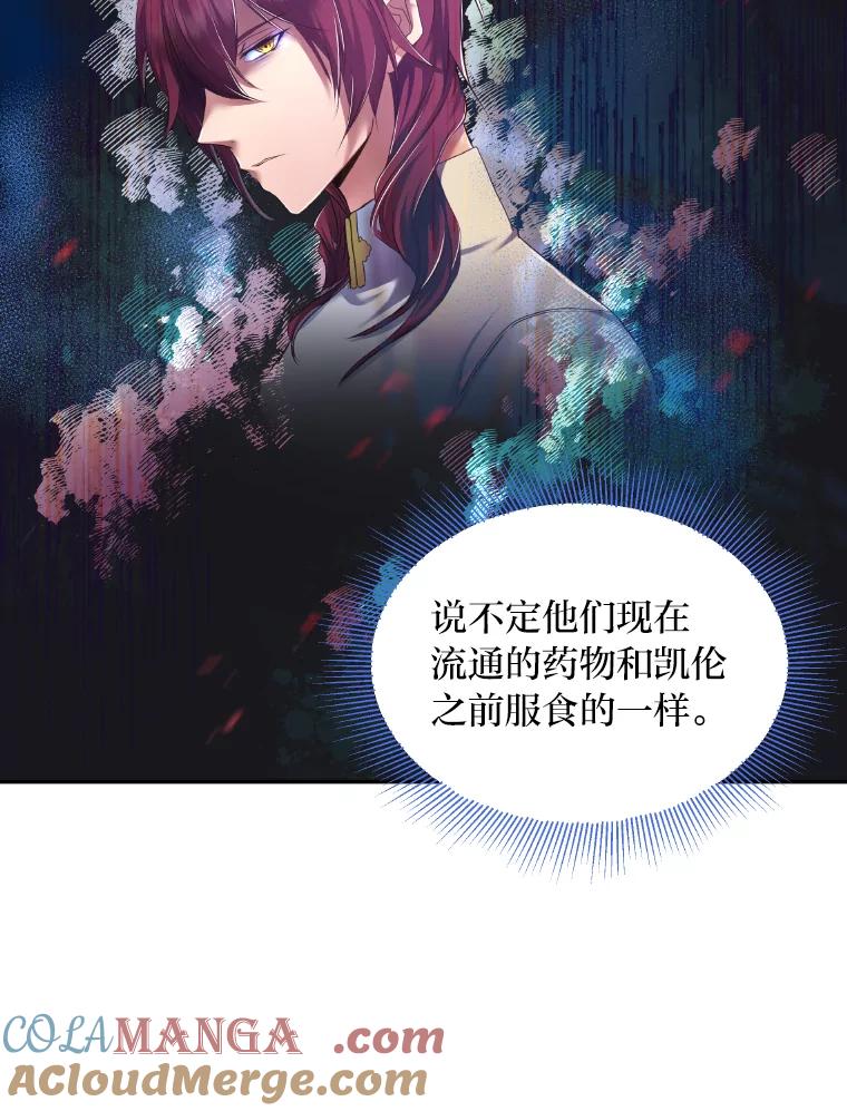 公爵夫人的秘密执笔 17.他的夫人 第33页