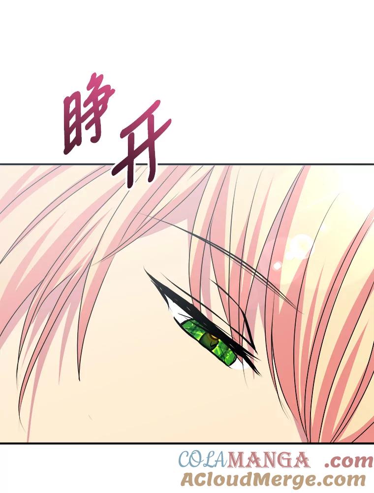 公爵夫人的秘密执笔 26.关门的重要性 第85页